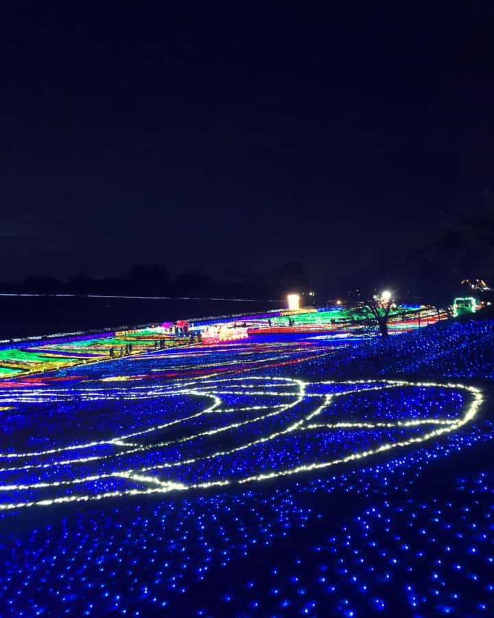 Tokyo: Customizable Day Trip Within Tokyo & Its Attractions - Price and value: is $404 per group fair?