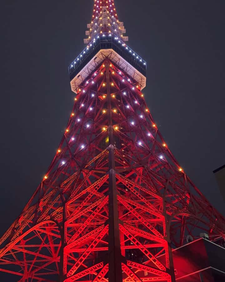 Tokyo: Customizable Day Trip Within Tokyo & Its Attractions - What to plan for at meeting points and during the day