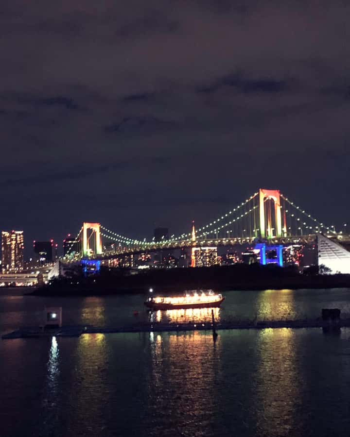 Tokyo: Customizable Day Trip Within Tokyo & Its Attractions - Who this customizable Tokyo day trip is for