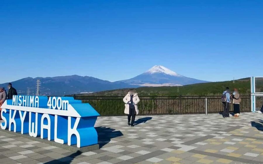 Tokyo:Customizable Private Day Trip to Mt.Fuji & Safari Park - Fuji Safari Park: your wildlife hour beats a quick photo stop