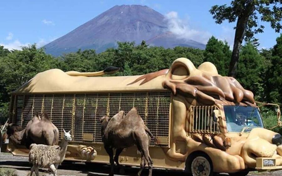 Tokyo:Customizable Private Day Trip to Mt.Fuji & Safari Park - Mishima Sky Walk: the long suspension bridge moment