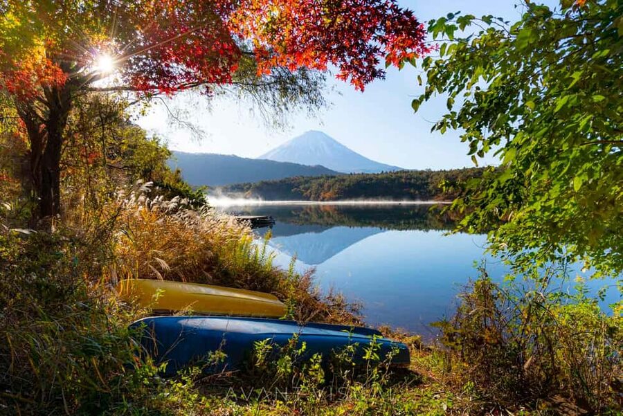 Tokyo:Customizable Private Day Trip to Mt.Fuji & Safari Park - Five lakes around Fuji: why this route feels richer than one viewpoint