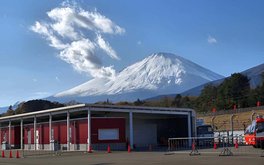 Tokyo:Customizable Private Day Trip to Mt.Fuji & Safari Park - Chureito Pagoda plus optional outlets or seafood: choose your style of ending