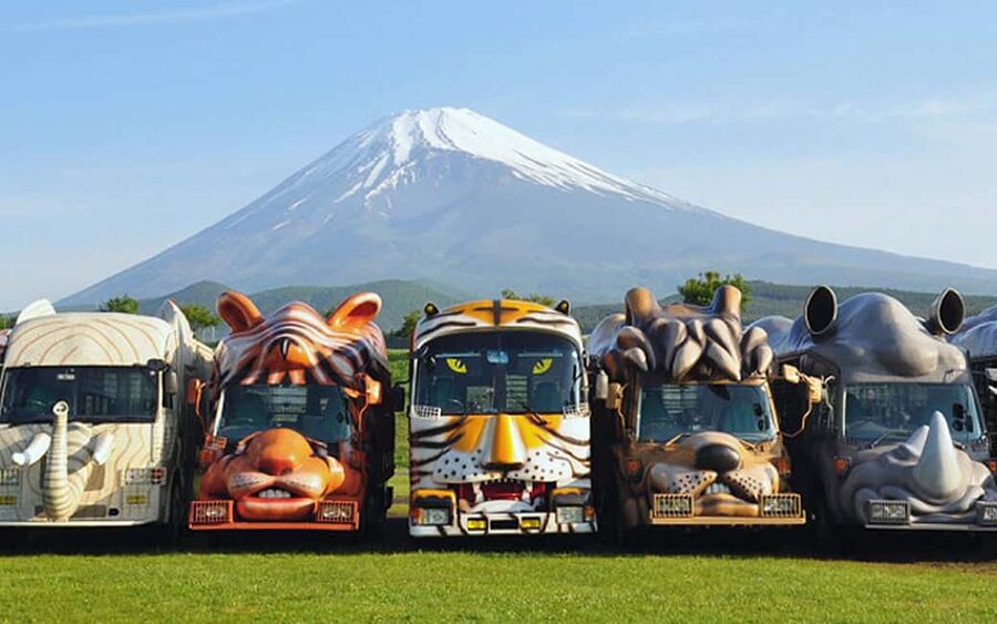 Tokyo:Customizable Private Day Trip to Mt.Fuji & Safari Park - The role of your guide: culture facts that make the day click