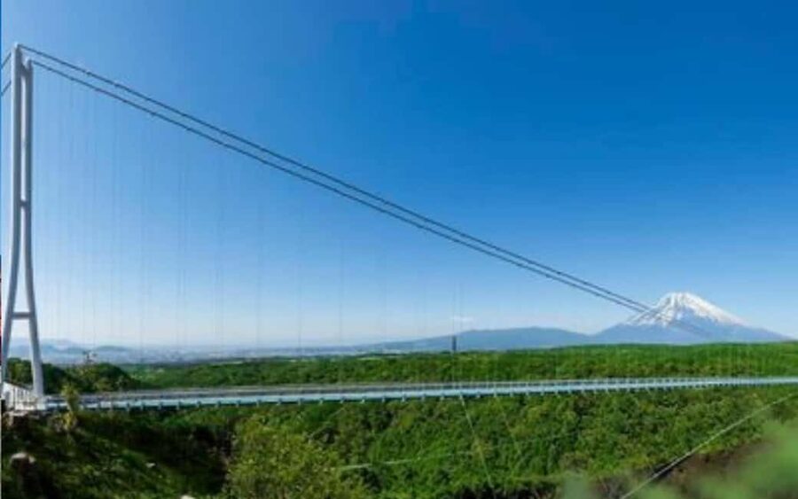 Tokyo:Customizable Private Day Trip to Mt.Fuji & Safari Park - Tokyo pickup to Fuji roads: how the day starts smoother than you expect