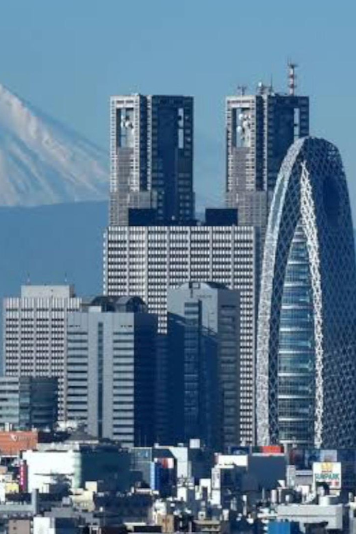 Tokyo: Customizable Private Guided Walking Tour - Shibuya Crossing and Harajuku side streets: where the city shows off