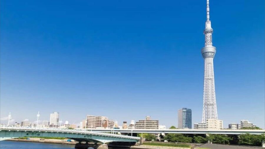 Tokyo: Customizable Private Guided Walking Tour - Food planning in a half-day, without wasting your time
