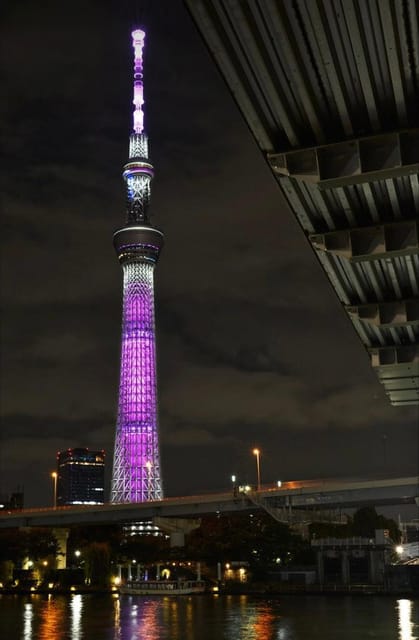 Tokyo Customizable Private Tour by Car & Van - Key things to know before you go