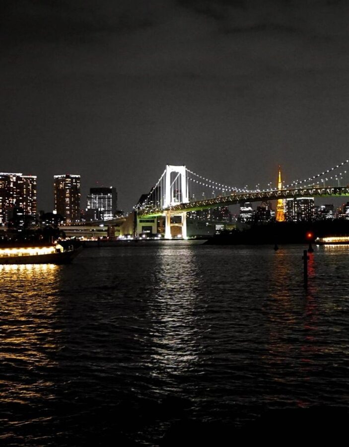 Tokyo Customizable Private Tour by Car & Van - Tokyo Imperial Palace area: formal grounds, easy pacing