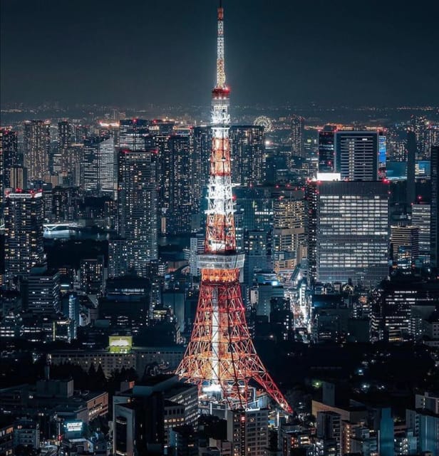 Tokyo Customizable Private Tour by Car & Van - Price and value: is $483 per group a good deal?