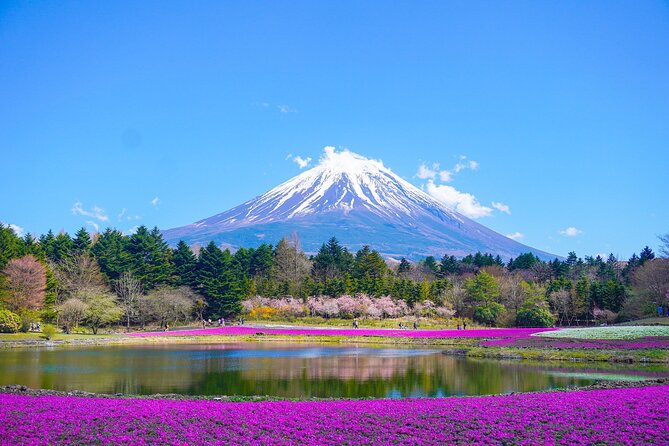 Tokyo: Customized Mt. Fuji & Hakone Sightseeing Private Day Trip - Key Points to Know Before You Go