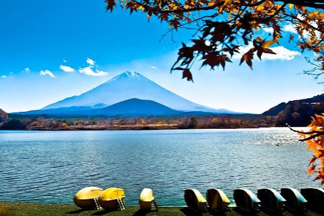 Tokyo: Customized Mt. Fuji & Hakone Sightseeing Private Day Trip - A Private Mt. Fuji Day Trip That Actually Respects Your Time