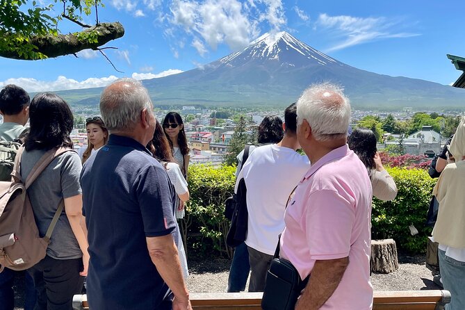 Tokyo: Customized Mt. Fuji & Hakone Sightseeing Private Day Trip - Mt. Fuji Subaru Line 5th Station: The Altitude Moment That Can Make or Break the Day