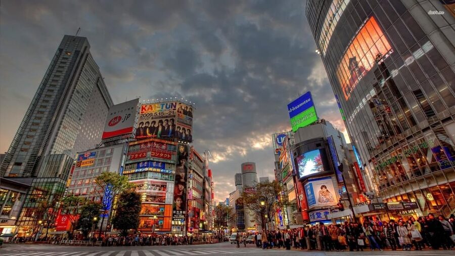 Tokyo: Customized Private Tour with a Local Guide - Key highlights to look for
