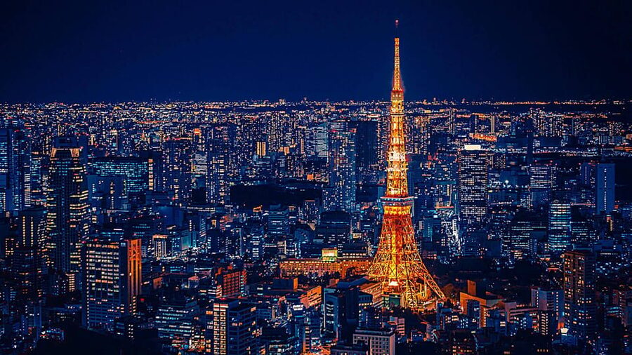 Tokyo: Customized Private Tour with a Local Guide - Who the guide style fits best (and who might want a different option)