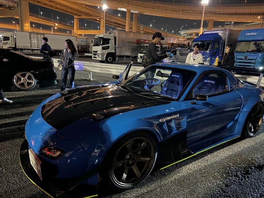 Tokyo: Daikoku JDM Car Culture Tour - Rules, Comfort, and What to Bring for a Smooth Night