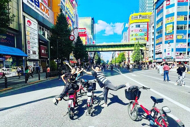 Tokyo Deep Inside Cycle Tour~3 Hours E Bike Tour around Tokyo - Edo Castle Ground to the Imperial Palace Perimeter, Plus Art in Marunouchi