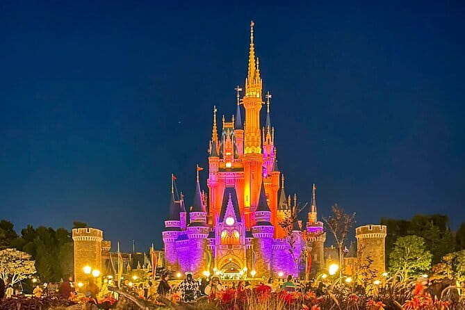 Tokyo Disney Resort Park E-Tickets with Options - Choosing Your Entry Time Without Turning It Into a Math Problem