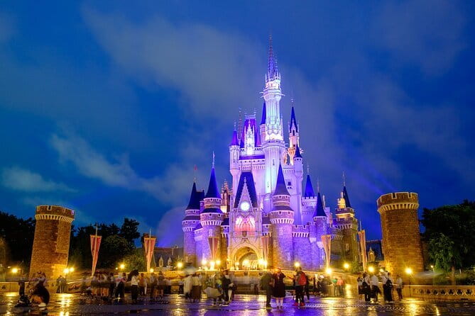 Tokyo Disney Resort Park E-Tickets with Options - Price and What You Actually Get for the Money