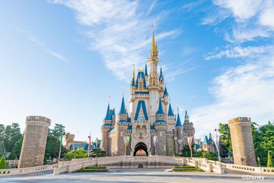 Tokyo Disneyland 1-Day Passport - Getting In Quickly: QR Scan Entry and the Phone-Based Ticket