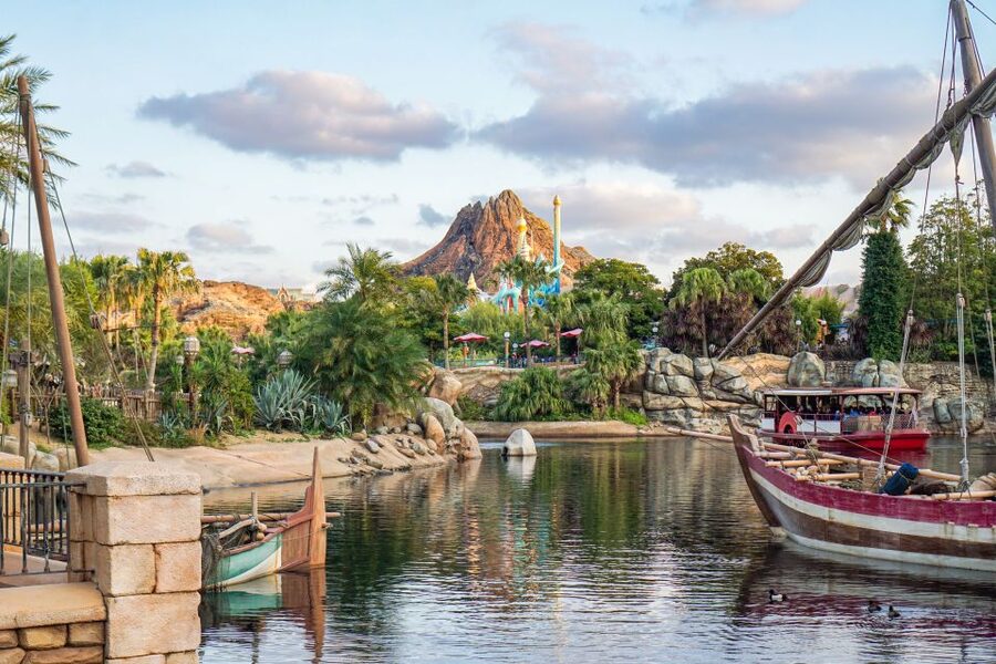 Tokyo Disneyland or DisneySea Ticket & Door to Door Transfer - Shared shuttle transfer in Tokyo City: what door-to-door really gives you