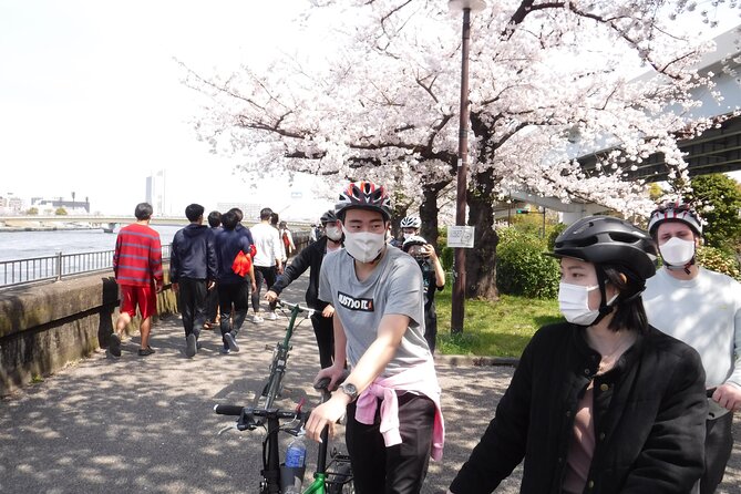 Tokyo downtown bicycle tour Tokyo Backstreets Bike Tour - Stop-by-stop: what you’ll actually do (and why each stop works)