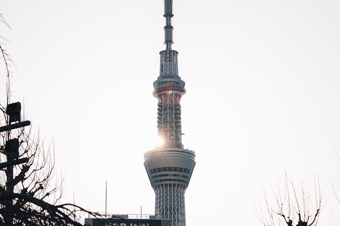 Tokyo Early Morning Tour Asakusa Meiji Shrine (Private Opt) - Stop 2: Tsukiji Fish Market, Food Energy, and Smart Snack Timing