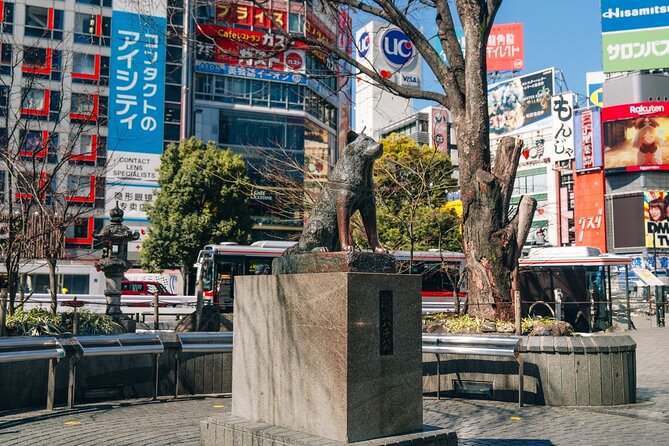 Tokyo Early Morning Tour Asakusa Meiji Shrine (Private Opt) - Stop 3: Meiji Jingu Shrine and the Calm Forest Break