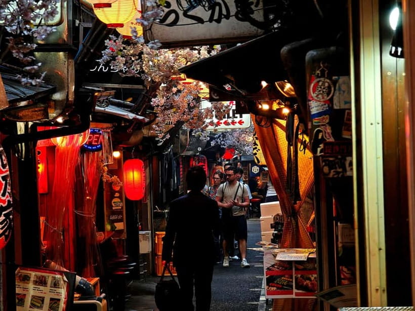 Tokyo: Evening Tour - Temples, Neon Streets & Culture - Getting around: public transit, a walking plan, and a guide who adjusts