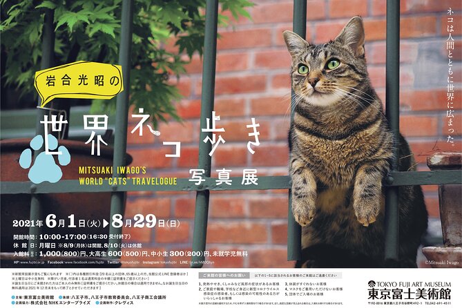 Tokyo Fuji Art Museum Admission Ticket + Special Exhibition (when being held) - Getting There and Timing Your Day Around the Museum