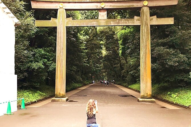 Tokyo Full Course Tour: Explore 10 Must-See Sights & Hidden Gems - Hachiko and Shibuya Crossing: How to Time the Biggest Stops