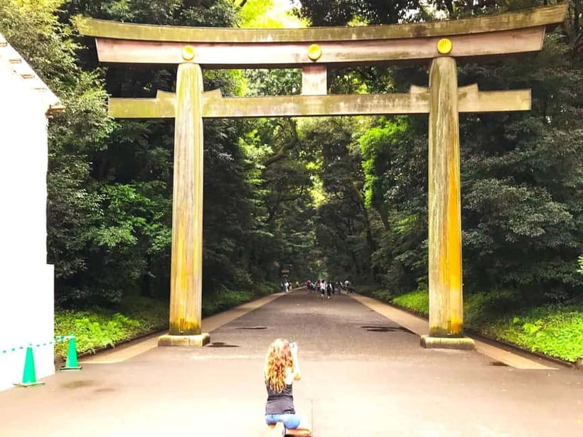 Tokyo: Full Course Tour: Explore 15 Must-Sees & Hidden Gems - Key points to know before you go