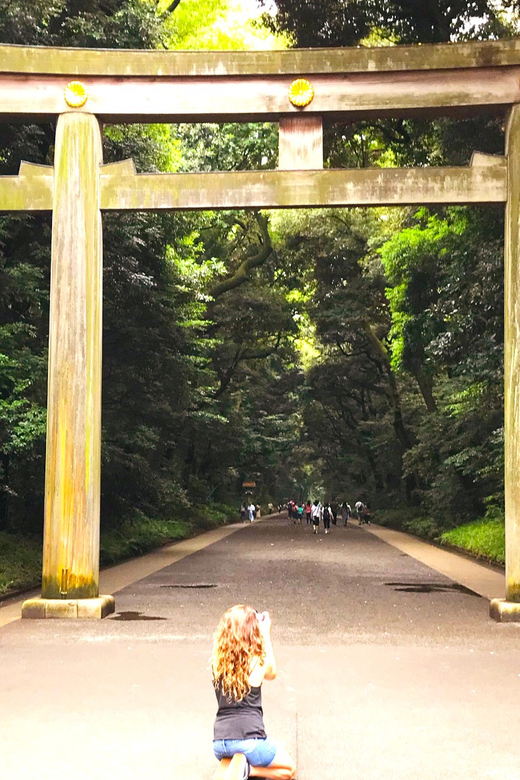 Tokyo: Full Course Tour: Explore 15 Must-Sees & Hidden Gems - Hachiko and Shibuya Crossing: iconic photos, quick explanations