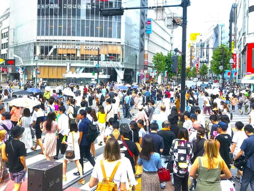 Tokyo: Full Course Tour: Explore 15 Must-Sees & Hidden Gems - Tsukiji Hongan-ji and the Outer Market: architecture and food planning