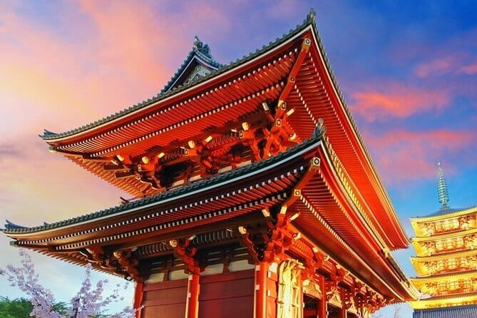 Tokyo Full Day Customize Private City Tour - Key highlights you can plan around