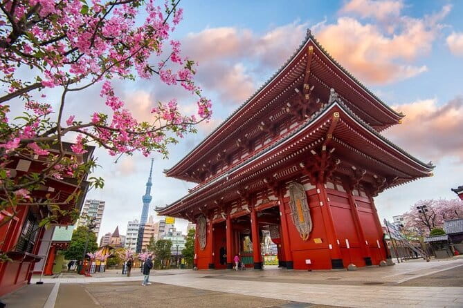 Tokyo Full Day Customize Private City Tour - Hotel pickup, onboard WiFi, and why this format feels smoother