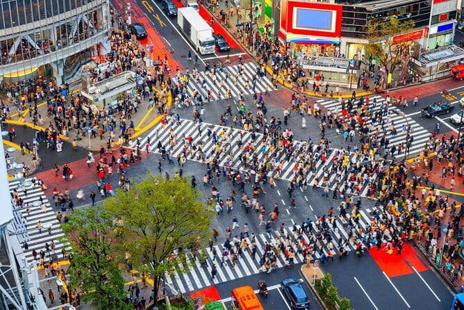 Tokyo Full Day Customize Private Tour with English Guide - Your guide’s job is more than facts, it is keeping you on track