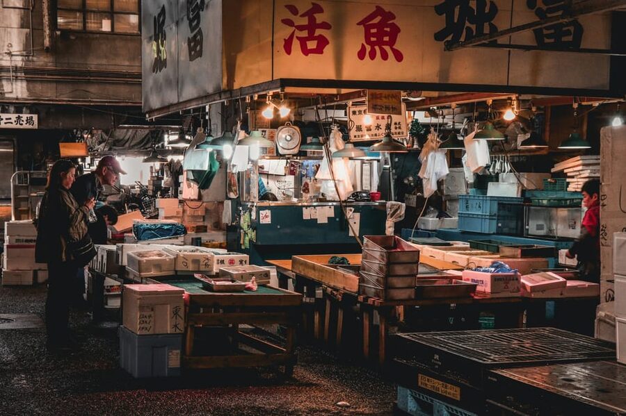 Tokyo: Full-day Immersive Private Tour by Premium Car - Morning Pickup and the Comfort Stuff That Actually Helps