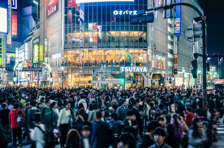 Tokyo: Full-day Immersive Private Tour by Premium Car - Tokyo Skytree: Markets and View Levels, Choose Your Version