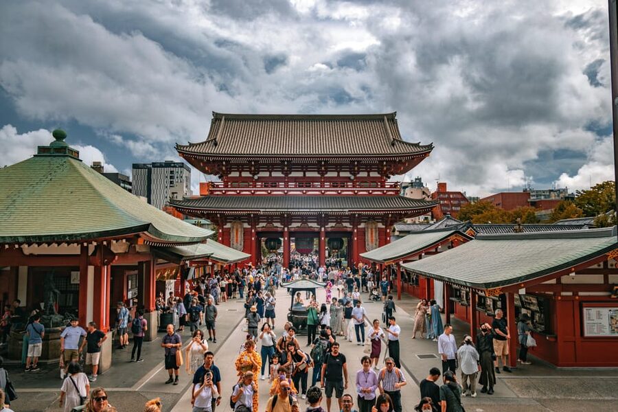 Tokyo: Full-day Immersive Private Tour by Premium Car - Tsukiji Outer Market: Fish Culture and Lunch-Time Food Choices