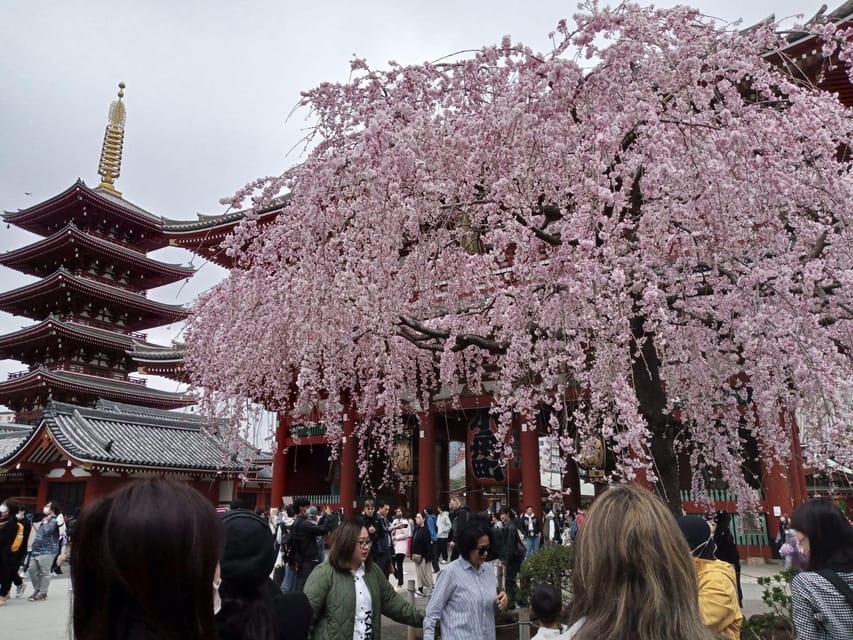 Tokyo: Full-day Immersive Private Tour by Premium Car - Sensō-ji Temple: Tokyo’s Old Heart, Up Close