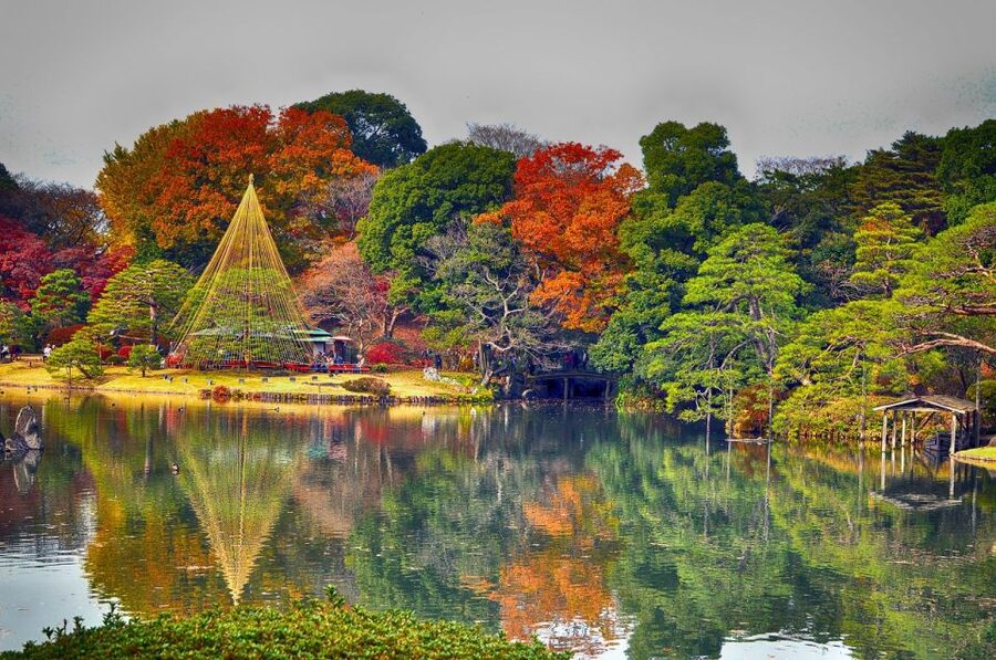 Tokyo: Full-Day Japanese Garden Private Guided Tour - Tokyo Private Garden Tours, and Why a Guide Changes Everything