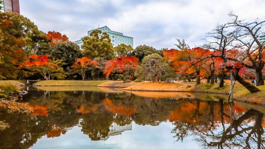 Tokyo: Full-Day Japanese Garden Private Guided Tour - Imperial Palace Garden: A Calm Start in a Stately Style