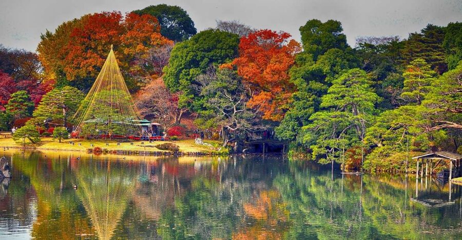 Tokyo: Full-Day Japanese Garden Private Guided Tour - Meeting Point, Timing, and How the 6-Hour Day Really Feels