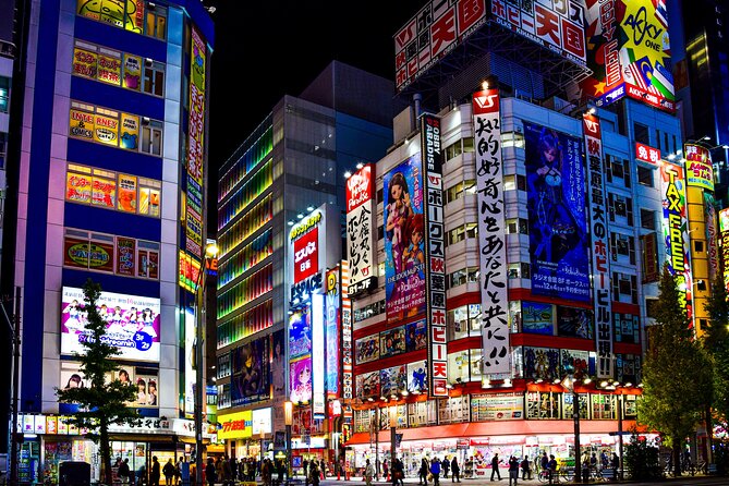 Tokyo Full-Day Private Tour (Customizable) - Tokyo Skytree: a view-focused stop with tickets you should plan for