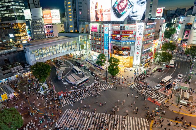 Tokyo Full-Day Private Tour (Customizable) - How customization actually helps your day (and where it might not)