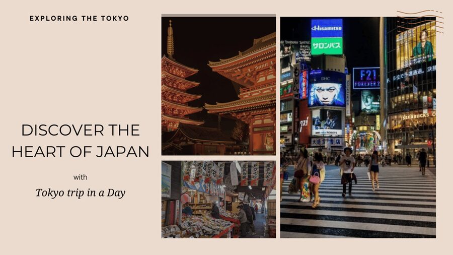 Tokyo full day private tour with Guide - Tour guide quality, customization, and the one risk to watch