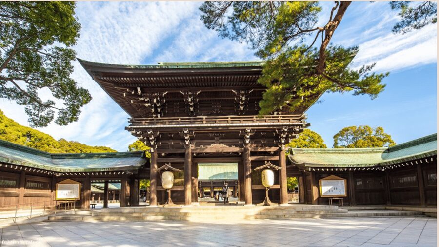 Tokyo full day private tour with Guide - Luxury pickup and what your day feels like