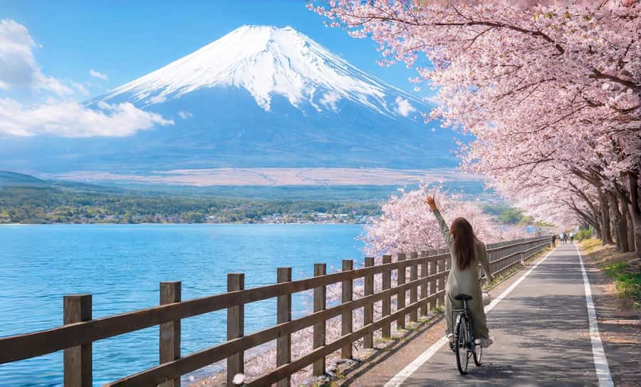 Tokyo: Full-Day Tour of the Six Majestic Spots of Mt Fuji - Key highlights at a glance