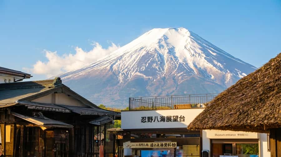 Tokyo: Full-Day Tour of the Six Majestic Spots of Mt Fuji - Why this Fuji day trip works so well from Tokyo